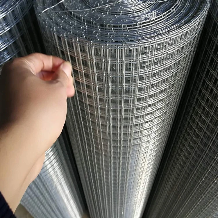 Wire Mesh Fncing